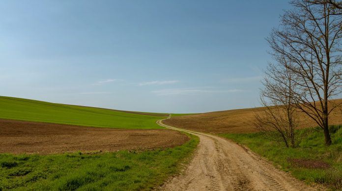 path-1421693_1280