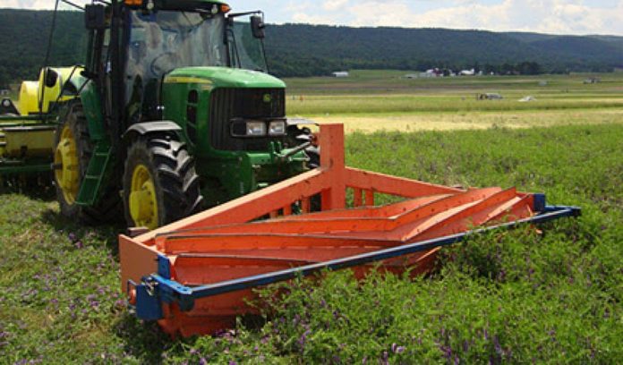 rolling a cover crop rolling cover crop