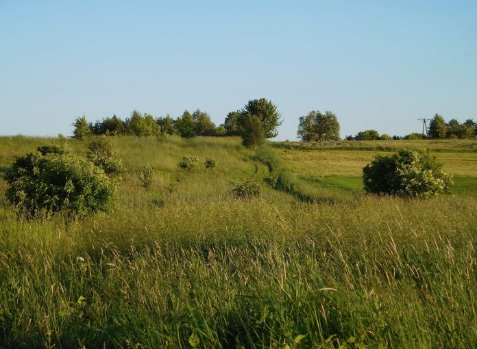 way-2047216_1280