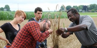 OSU plant pathology