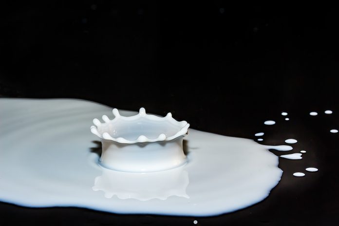 drops of milk drops of milk
