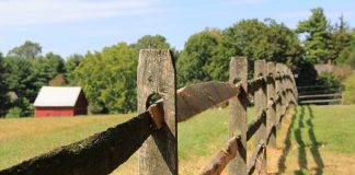 fence