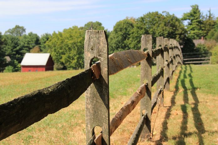 fence fence