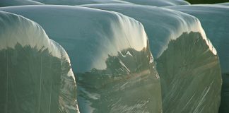 round bales wrapped in plastic