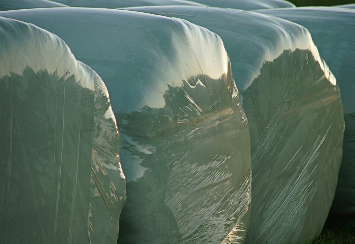 round bales wrapped in plastic round bales wrapped in plastic