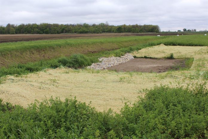 phosphorus removal bed phosphorus removal bed