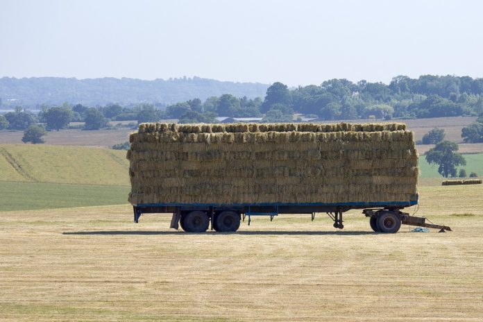hay harvest hay harvest