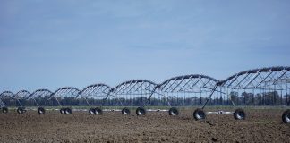 irrigator