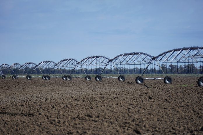 irrigator irrigator