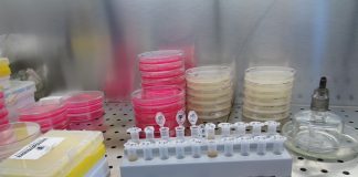 laboratory