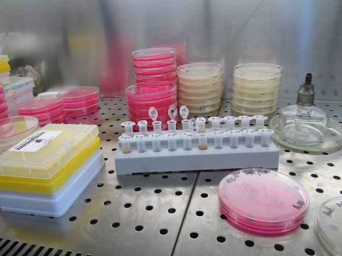 laboratory laboratory