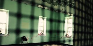 Lunatic asylum