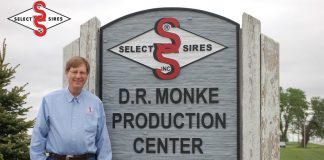 Don Monke, Select Sires