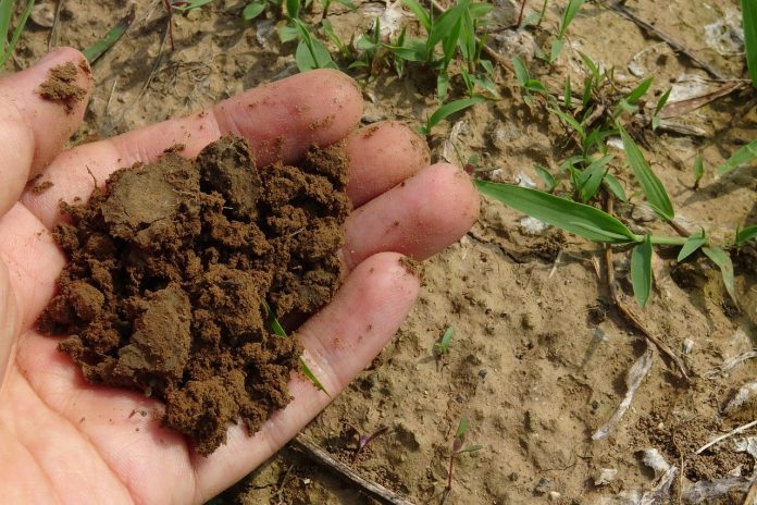 soil soil