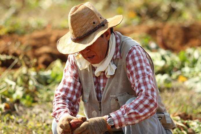 straw-hat-2120656_1280
