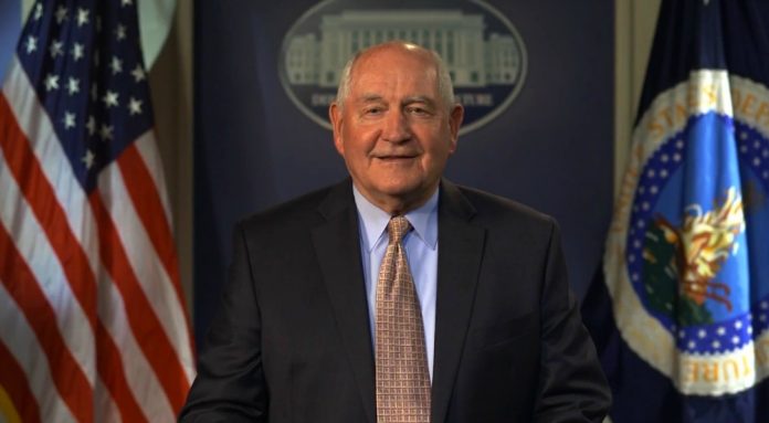 USDA Reorganization USDA Reorganization