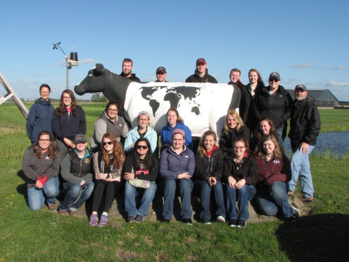 4c 6-22 dairy excel eastridge web