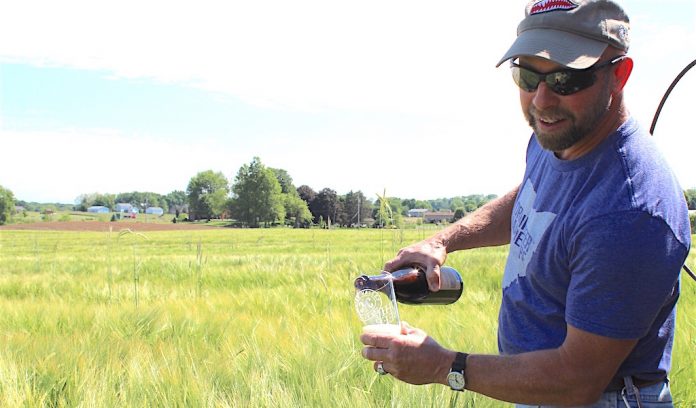 Barley and beer Bill Bakan with his barley and beer