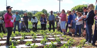Produce tour at Artisan Acres