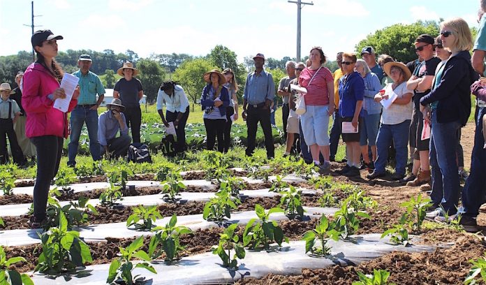 OEFFA 2 Produce tour at Artisan Acres