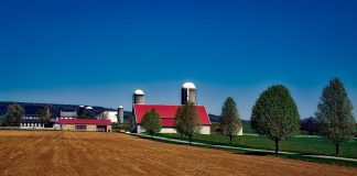 farm