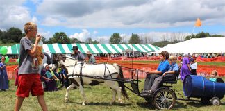 Family Farm Field Day