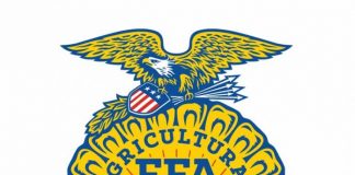 FFA logo