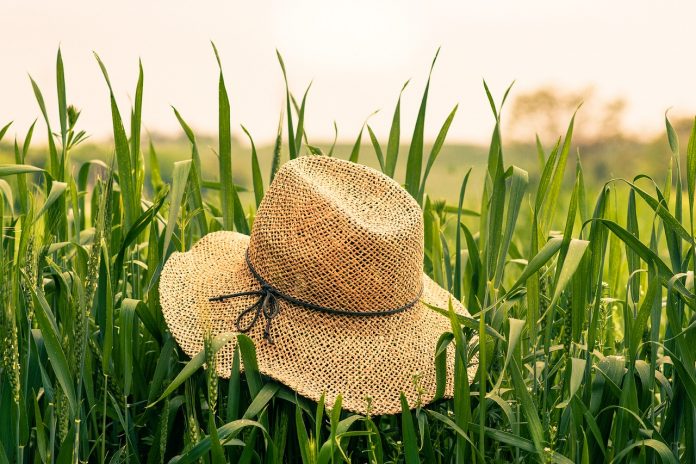 farm-1839718_1280