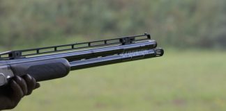shotgun
