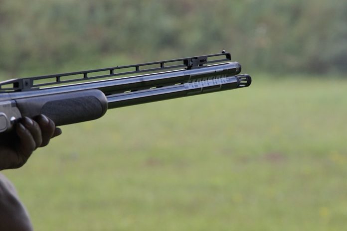 shotgun shotgun