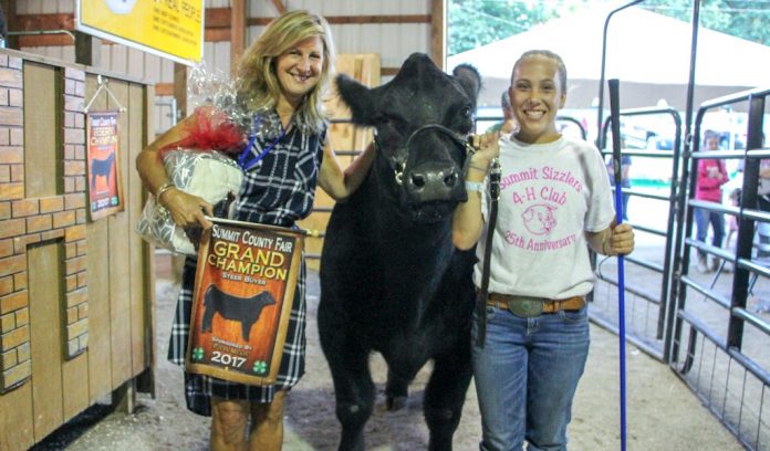 summit county fair header Summit Co champion steer