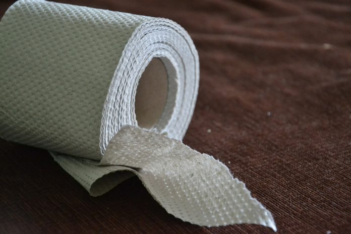 toilet-paper-313820_1280