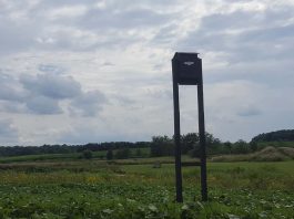 BatBox