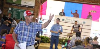 Medina County Fair livestock sale