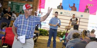 Medina Fair header
