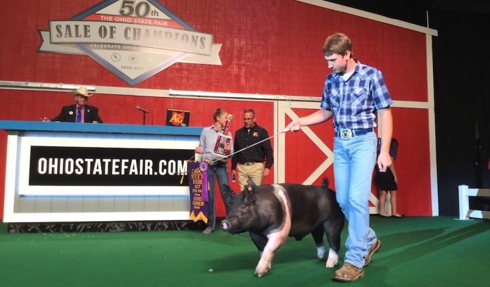 Ohio hog lead 2 Ohio champion hog