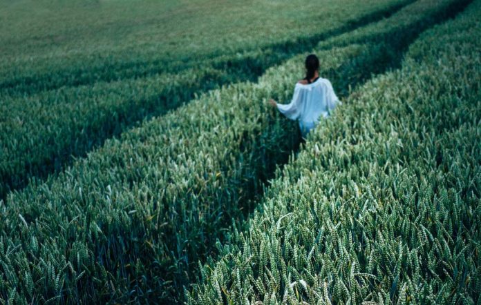 agriculture-1853952_1920