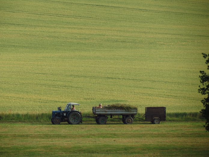 agriculture-354679_1280