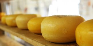 cheese