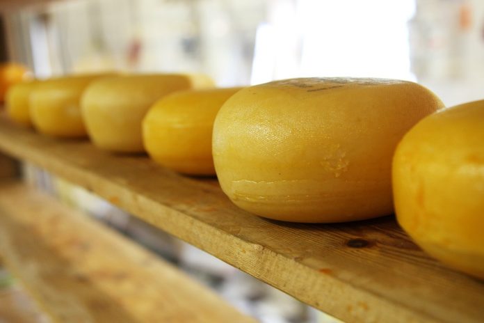 cheese cheese