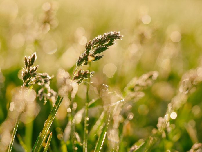 countryside-1868369_1280