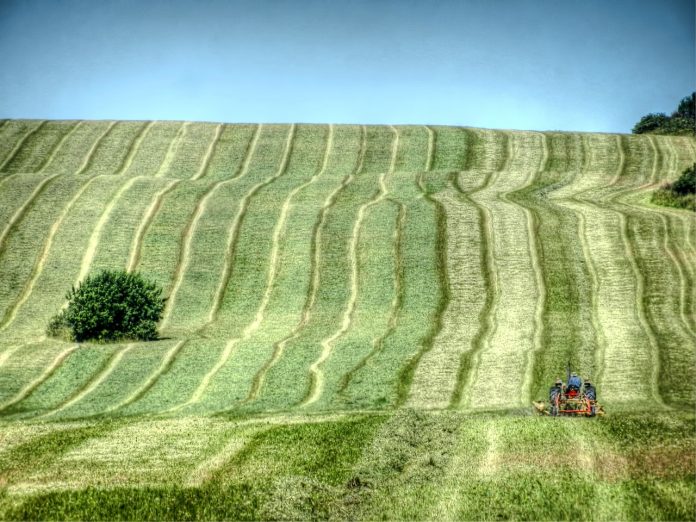 farm-2561599_1280