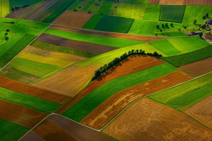 field-2572133_1280