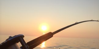 fishing