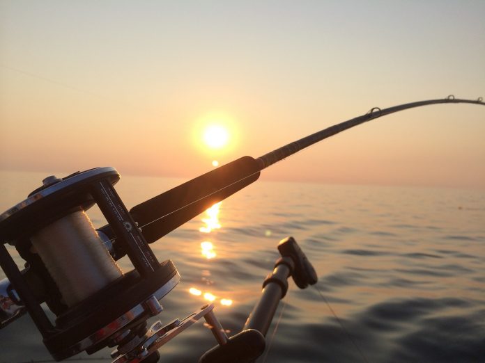 fishing fishing