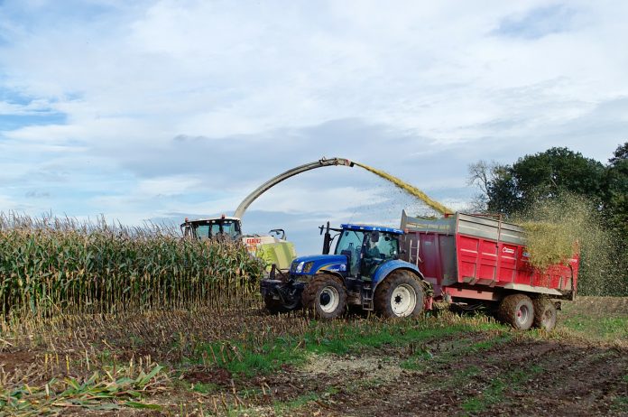 silage silage