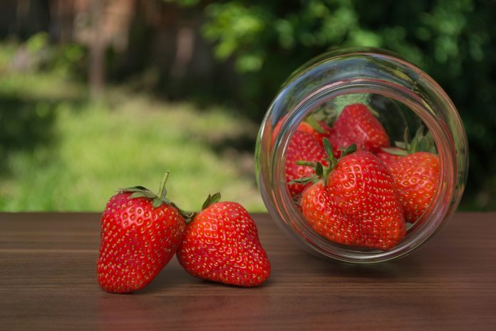 strawberry strawberry