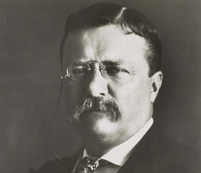 theodore-roosevelt-393205_1920