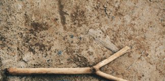 dowsing stick