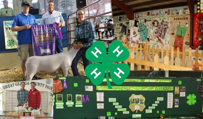 4-H thank you